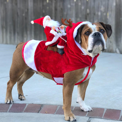 Dog Christmas Clothes Santa Claus