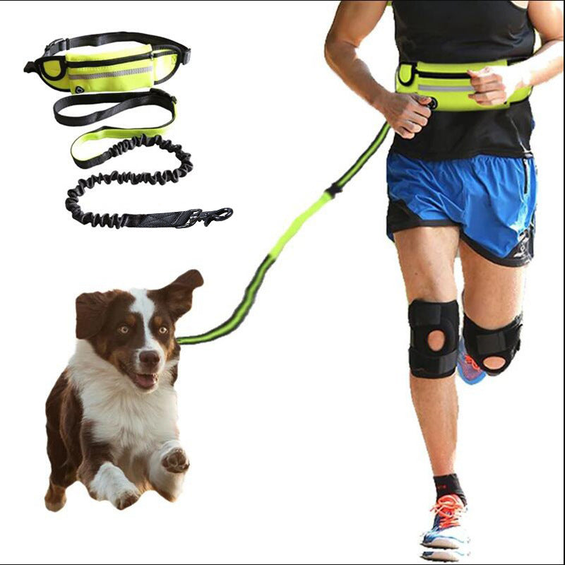 Hands Free Dog Leash Pet Walking And Training